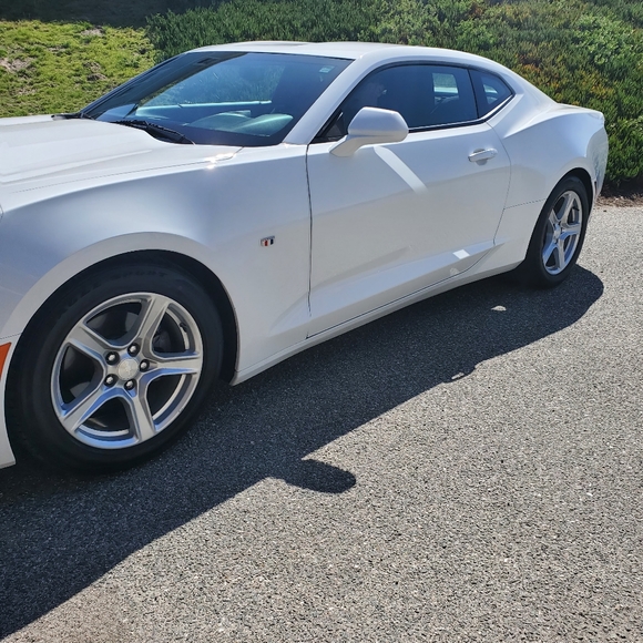 Meet your Posher, Celeste - Picture 11 of 16